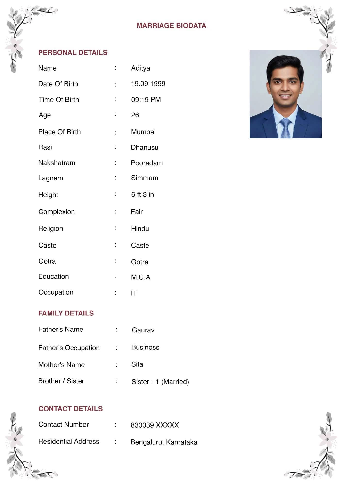 sleek modern biodata format